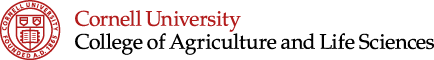 Cornell University