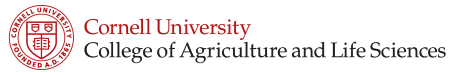 Cornell University